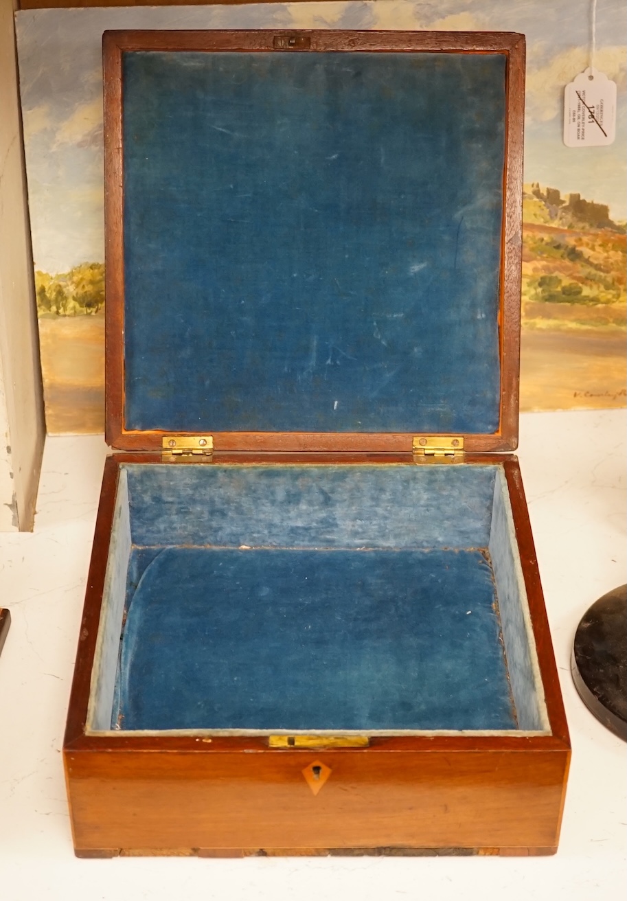 An early 19th century wood parquetry specimen box decorated with a star design top, 26cm wide, 10cm high, 26.5cm deep. Condition - fair